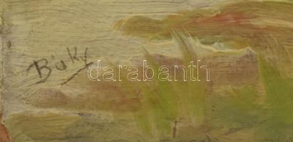 Baky jelzéssel: Tájkép. Olaj, karton, 20x25cm