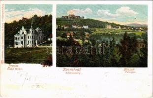1904 Brassó, Kronstadt, Brasov; Dealul Strajii / Schlossberg / Fellegvár, villa. Wilh. Hiemesch / villa alley