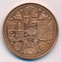 Tóth Sándor (1933-2019) 1985. "Szabolcs vezér - Nyíregyháza" kétoldalas bronz emlékérem (4...