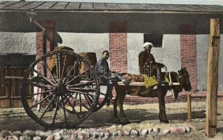 Taskent, asian vehicles