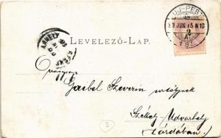 1899 (Vorläufer) Budapest IV. Újpest, Árpád úti részlet, háttérben a Népsziget. Schön Bernát kiadása...