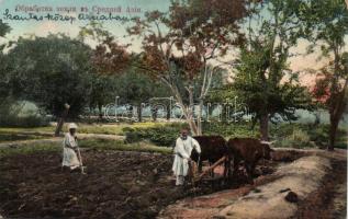 Taskent, agricultural works