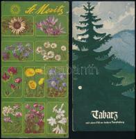 cca 1930-1940 4 db képes turisztikai ismertető prospektus, német és magyar nyelvű