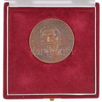 DN "Bolyai János Hadmérnöki Díj" egyoldalas Br díjplakett, eredeti dísztokban (50mm) T:1-