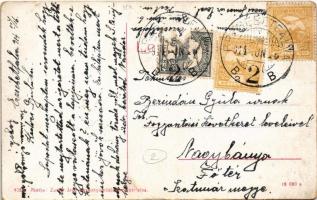 1914 Budapest XX. Pestszenterzsébet, Pesterzsébet, Erzsébetfalva; Csepel szigeti erdő részlet, uszál...