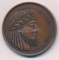 Bakos Ildikó (1948- ) ~1990. Aesculapius / Chinoin Hungaria - Condita 1910 kétoldalas bronz emlékérem (42,5mm) T:1