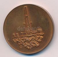 Lapis András (1942-) DN "Kőolajkutató Vállalat" kétoldalas bronz emlékérem (42,5mm) T:1-