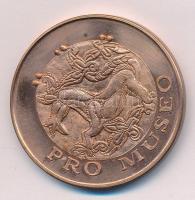 DN "Pro Museo / Herman Ottó Múzeum Miskolc" kétoldalas bronz emlékérem (42,5mm) T:1-