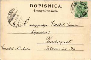 1905 Bosnische Tandelmarkt / Bosnian market, folklore + "K. und K. Milit. Post Bilek"