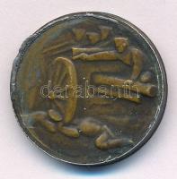 Osztrák-Magyar Monarchia 1915. "A Krasniki diadalmas csatában az oroszoktól elvett ágyúból vere...