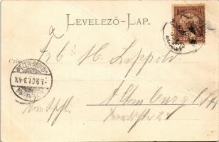 1901 Nagyszombat, Trnava; Ferenc József tér és a Nagy Lajos utca, üzletek / square, street view, sho...