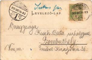 1903 Veszprém, vasút felől. Pósa Endre kiadása + "SZÉKESFEHÉRVÁR-KISCZELL 82" vasúti mozgó...