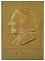 DN Liszt Ferenc 1811-1886 Cu lemezplakett (80x58mm) T:2 patina