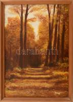 Olvashatatlan jelzéssel: Őszi erdő. Olaj, karton, fakeretben, 41x29cm