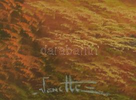 Pap Adorian Venetti ( - ): Szerelmesek ladikban. Olaj, kasírozott vászon, dekoratív keretben. 50x70c...