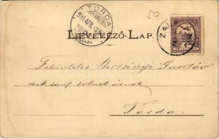 1901 Zalatna, Zlatna; Nagy Lajos kiadása