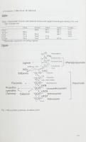 Proceedings of the Eighth International Conference on Grape Genetics and Breeding. Volume I-II. Szer...