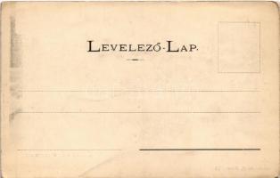 Tátraháza, Mlynceky (Magas Tátra, Vysoké Tatry); nyaraló. Divald Adolf 72. / villa (EK)