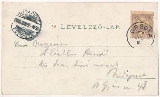 1900 Ada Kaleh, Bazár, Török szépség. Raichl Sándor junior 4410. / bazaar, shop, Turkish beauty. Art...