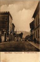 Nagybánya, Baia Mare; Str. Vasile Lucaciu utca, gyógyszertár / street, pharmacy