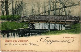 1900 Berlin, Gruss aus Pankow. Krumme Birke. Verlag v. Friedrich Salis. Photographie E. Brandt (EK)