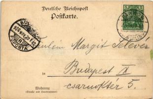 1900 Berlin, Gruss aus Pankow. Krumme Birke. Verlag v. Friedrich Salis. Photographie E. Brandt (EK)