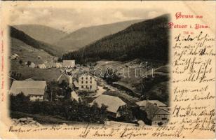1899 (Vorläufer) Pec pod Snezkou, Petzer; general view, hotel (EK)