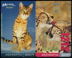 2001-2003 MATÁV macskák telefonkártya 2 db használt, benne 1 db 2000 példányos