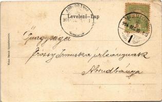 1904 Gyulafehérvár, Alba Iulia; látkép. Weiss Bernát kiadása. Szecessziós virágos litho keret / gene...