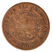 Hollandia 1901. 1/2c Br T:3
Netherlands 1901. 1/2 Cent Br C:F
Krause KM#109