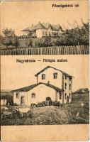 Nagysármás, Sarmasu; Főszolgabírói lak, Földgáz malom / judges house, oil mill (EK)