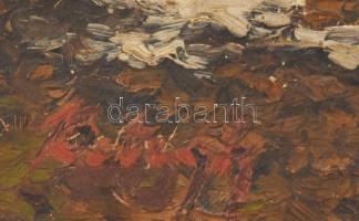 Olvashatatlan jelzéssel: Téli táj. Olaj, vászon. Dekoratív, kissé sérült fakeretben. 51x35 cm