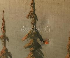 Olvashatatlan jelzéssel: Fácán. Olaj, vászon. Dekoratív, sérült fakeretben. 60×80 cm