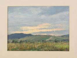 Sárdy Brutus (1892-1970): Napnyugta. Olaj, vászon, kartonon. Jelzett. Hátoldalán Generalart címkével és Magyar Nemzeti Galéria bélyegzővel. 20x28 cm.