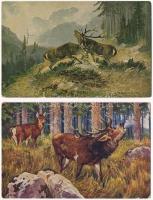 4 db RÉGI állatos képeslap: szarvasok / 4 pre-1945 animal postcards: deer