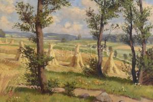 Gruber jelzéssel: Sárosszentimre környéki táj (Felvidék). Olaj, vászon. Dekoratív, kissé sérült
fak...