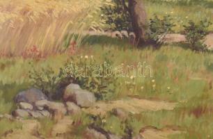 Gruber jelzéssel: Sárosszentimre környéki táj (Felvidék). Olaj, vászon. Dekoratív, kissé sérült
fak...