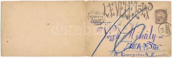 1900 Gólya. Kézzel rajzolt kinyitható képeslap / Stork. Hand-drawn folding art postcard s: Fejérdi G...