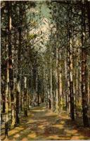 1911 Balatonföldvár, Fenyves erdő sétány. Bem Gyula kiadása