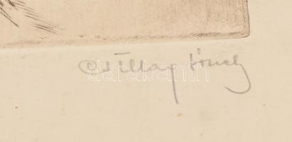 Csillag József (1894-1977): Két özvegy. Színezett rézkarc, papír, jelzett, kissé foltos, 30,5×25 cm