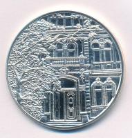 1999. BM Központi Kórház és Intézményei - 50. évforduló emlékére ezüstözött fém emlékérem kapszulában (42,5mm) T:PP patina