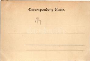 1899 (Vorläufer) Albrechtice, Albersdorf; Ringplatz / church, square. Floral (cut)