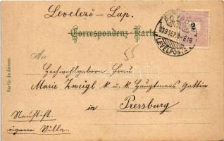 1899 (Vorläufer) Bad Deutsch-Altenburg, Kirche, Türkenhügel, Haidentor, 1000 jähr. Rundkapelle, Amph...