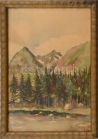 K. Márny? jelzéssel: Fenyves a hegyekben. Akvarell, karton, Üvegezett keretben. 28x42 cm