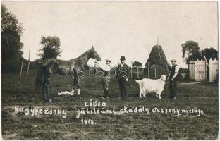 1913 Pozsony, Pressburg, Bratislava; Lídia, a nagypozsony jubileumi akadály verseny nyerője, lóverseny győztes / racing horse. photo