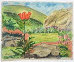 Mannheim Róza (1880-1965): Virágos kert. Olaj, vászon, jelzett, vakkeret nélkül, 47×58 cm