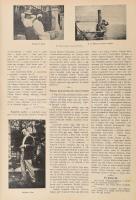 1901 Uj Idők szépirodalmi, művészeti és társadalmi képes hetilap. Szerk.: Herczeg Ferenc. 1901. II. ...