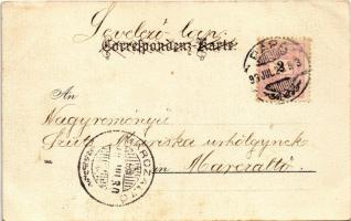 1899 (Vorläufer) Pernitz, waterfall, wooden bridge. Verlag v. Julius Schnell. Karl Stücker's Ku...