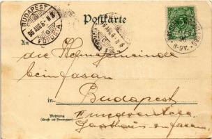 1896 (Vorläufer!!!) Dresden, Gruss aus der Alten Stadt. litho (EB)