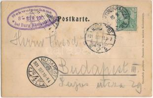 1901 Trechtingshausen, Gruss vom Schweizerhaus bei Burg Theinstein / hotel, inn. Stengel Emb. (EK)